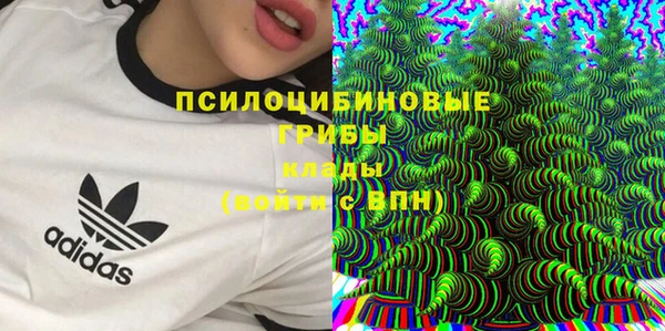 бутират Алзамай
