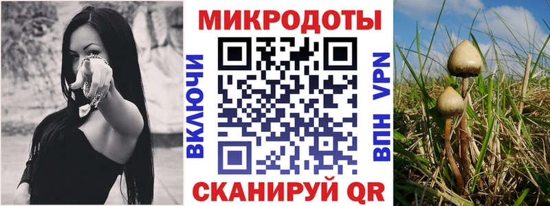 mega tor  дарк нет состав  Бологое  Псилоцибиновые грибы ЛСД  закладки 
